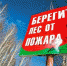 Началась сезонная профилактическая операция «Лето» - Асбестовский городской округ