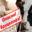 БРУЦЕЛЛЕЗ - Асбестовский городской округ